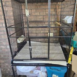 Bird Cage With Accessories 