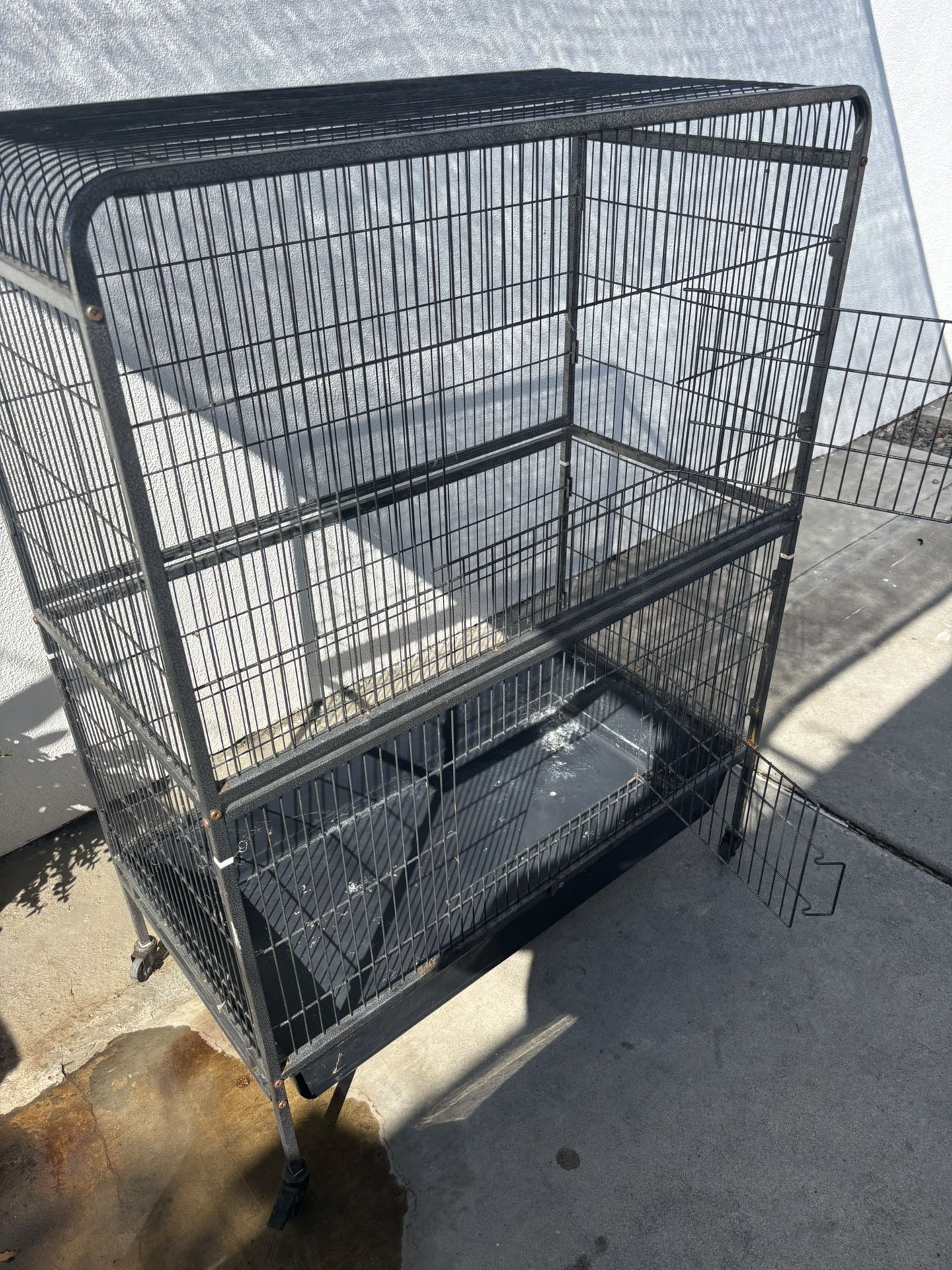 Bird Cage/Jaula