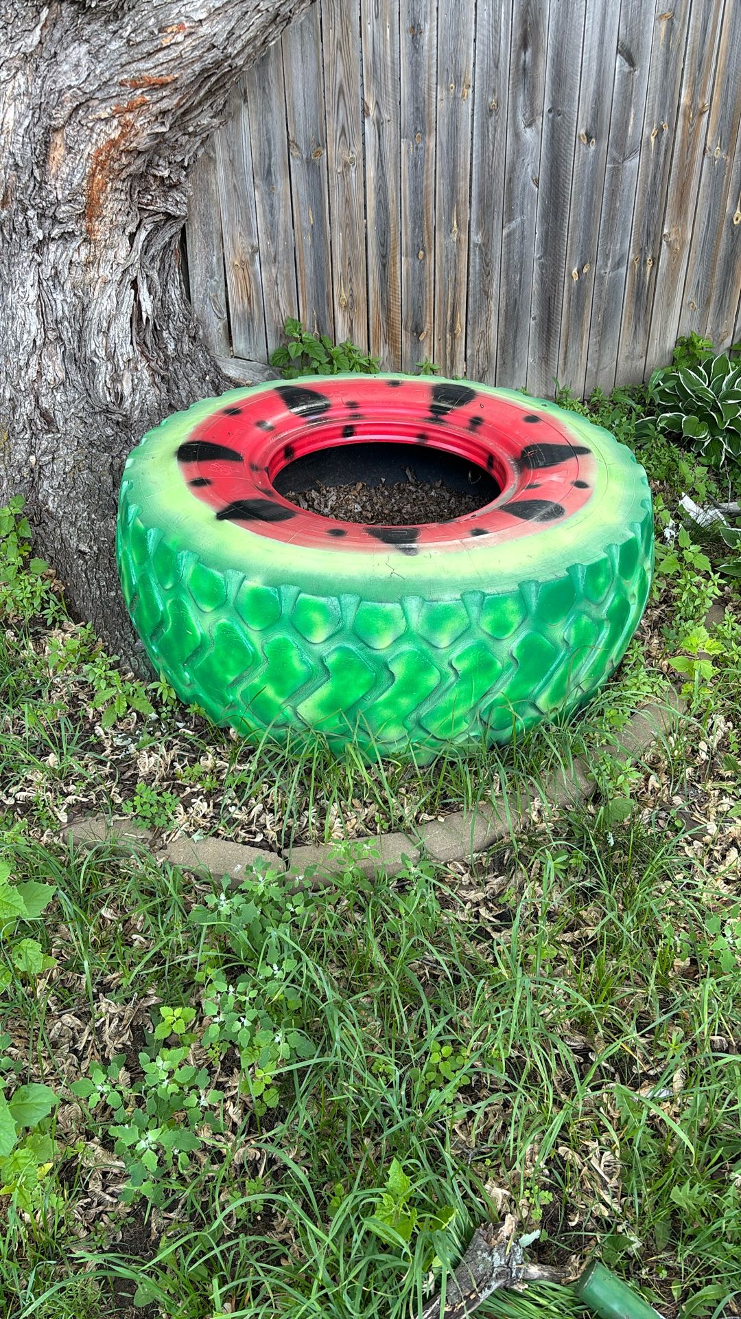 Watermelon Tire Very Big