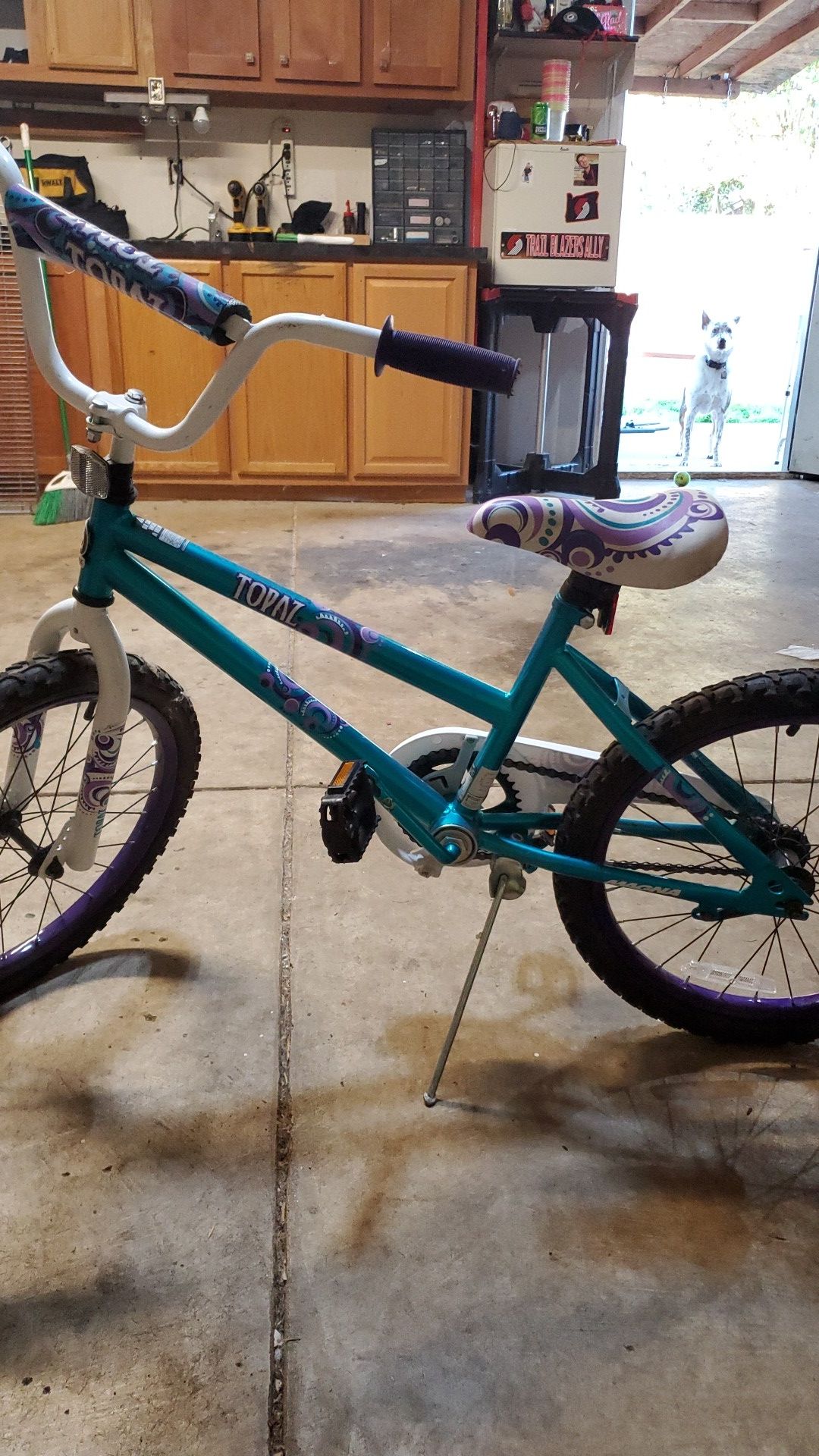 Girls bike