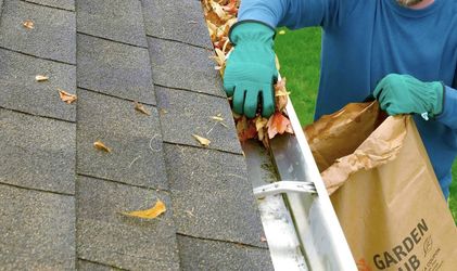 Gutter Cleaning