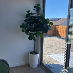 Tree and vase