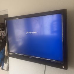 Vizio Flat Screen TV (40–47”) – Works Great