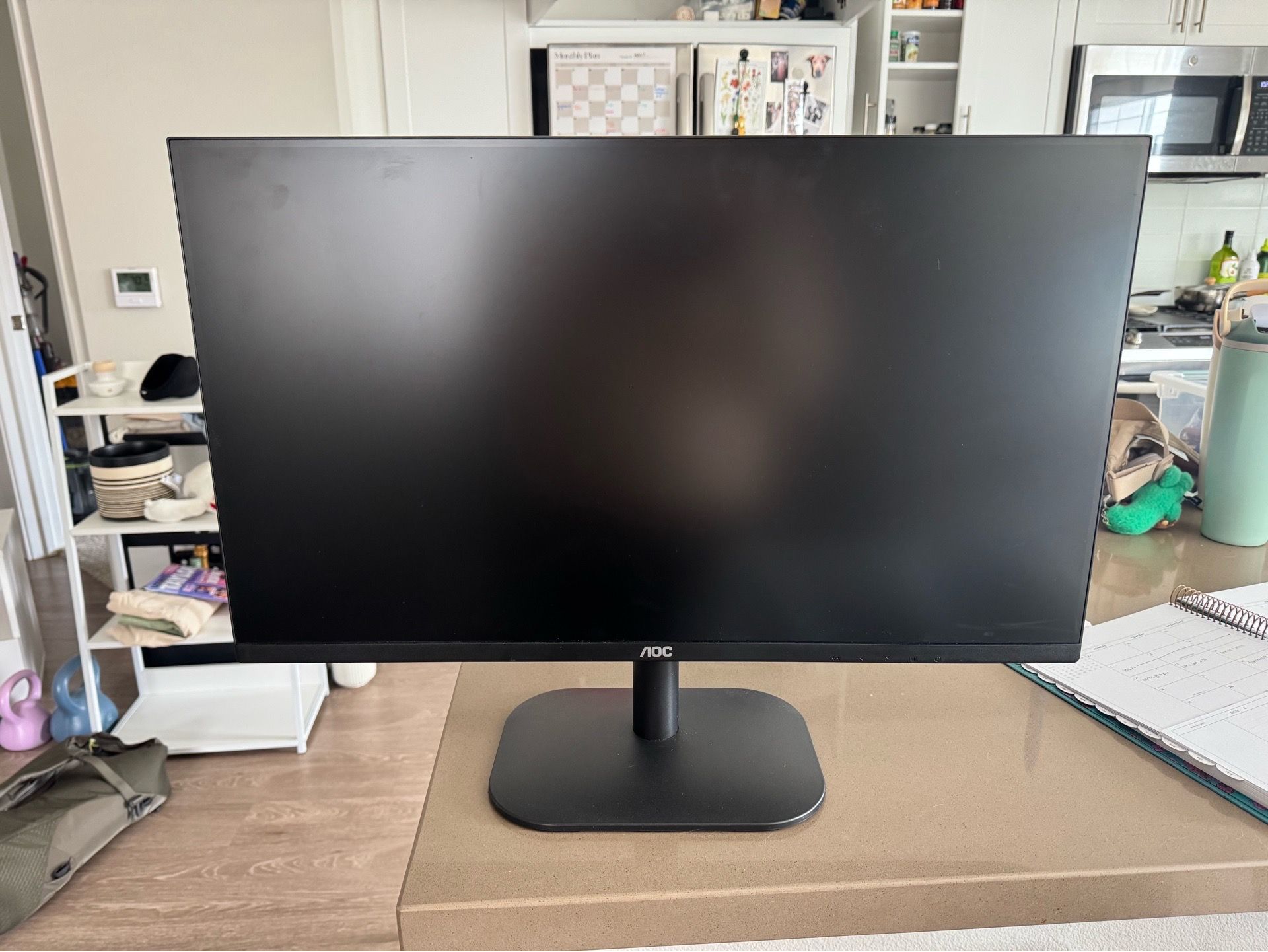AOC 24” Monitor