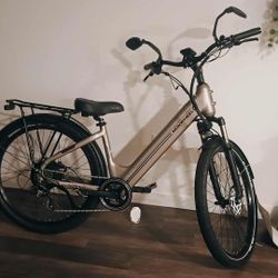  Electric Bike / E Bike 