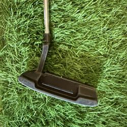Ray Cook Putter