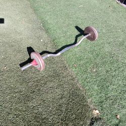 Curling Bar With Collars, Four 10 Lbs.