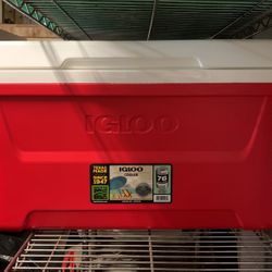 Large Brand NEW COOLER BOX IGLOO COOLER