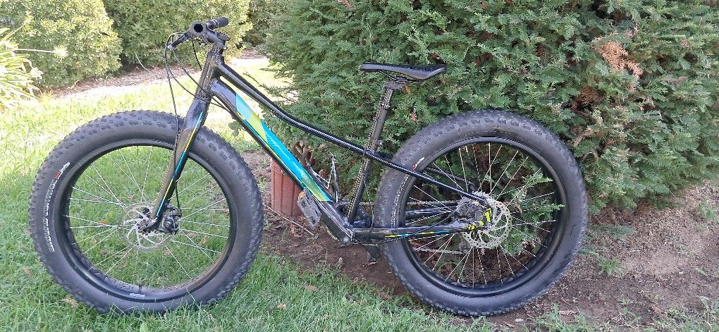 Kids Specialized Fat Tire Mountain Bike