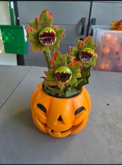 HALLOWEEN DECOR