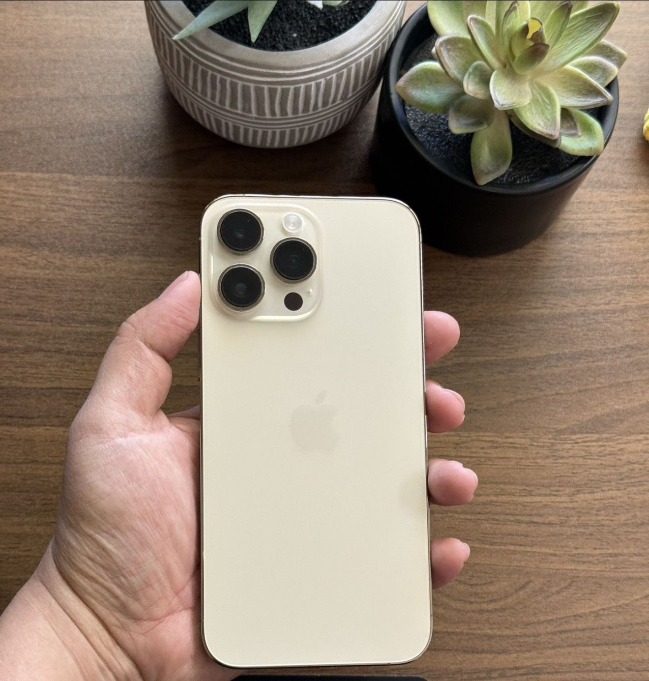 iPhone 14 Pro (unlocked) 