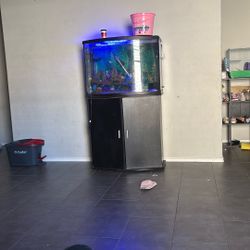 Fish Tank
