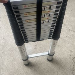 Extendable Ladder 