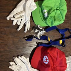 Mario and louigee costume