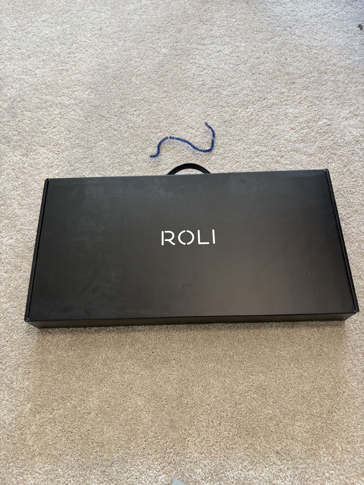 Roli Seaboard Rise