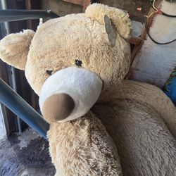 Oversized Giant Teddy Bear