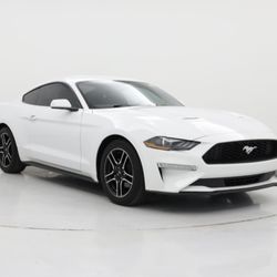 2019 Ford Mustang