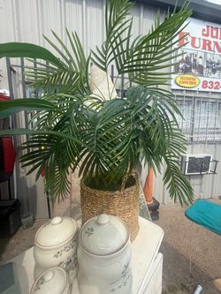 Artificial plants &20 each