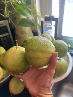Sweet and sour Lime