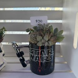 Star Wars Succulent Arrangement Mug