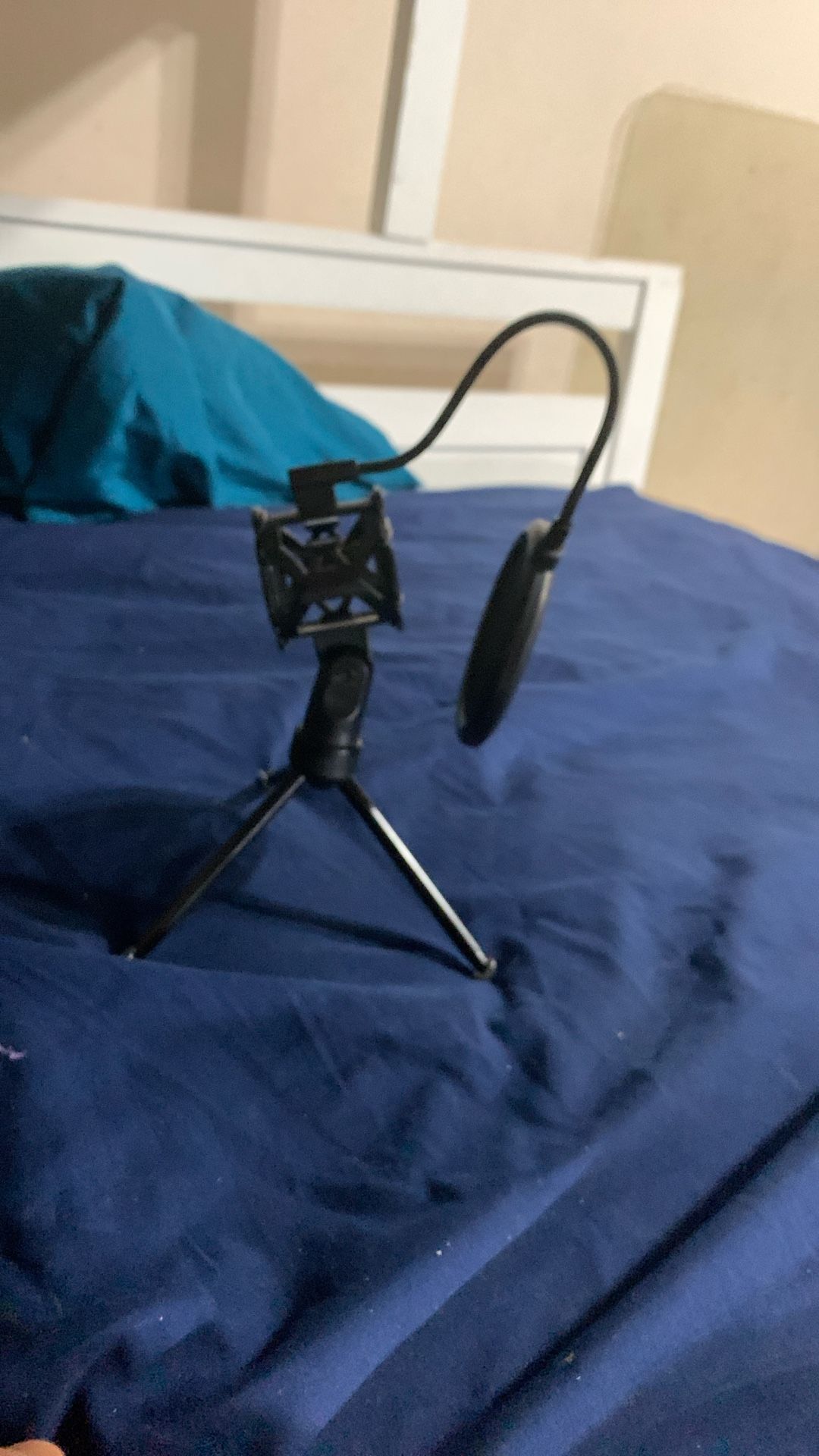 Mic Stand 