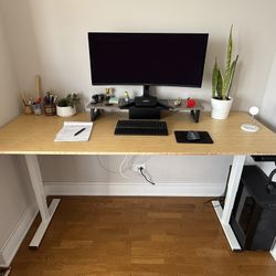 Flexispot Standing Desk in Great Condition