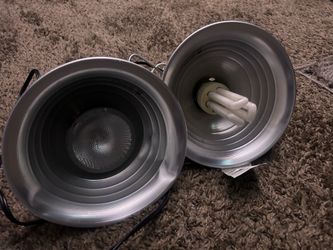 Reptile Heat & UVB Lamps with Bulbs