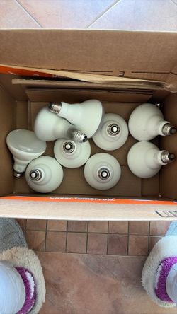 Light Bulbs