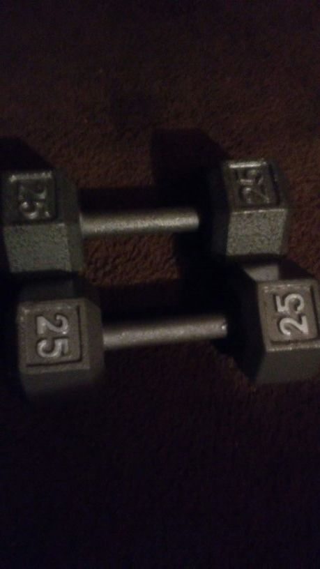 Weight dumpebell 25
