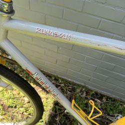 Men’s or women’s cruiser bike