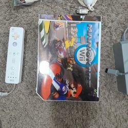 Nintendo Mariokart Wii
