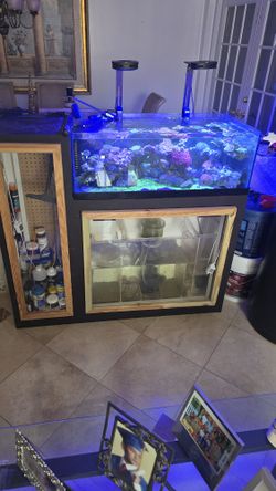 30 Gal Rimless Low Boy Tank And Stand Aquarium Tank