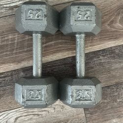 Weights 25 Lbs 