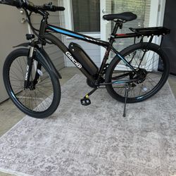 E Bike