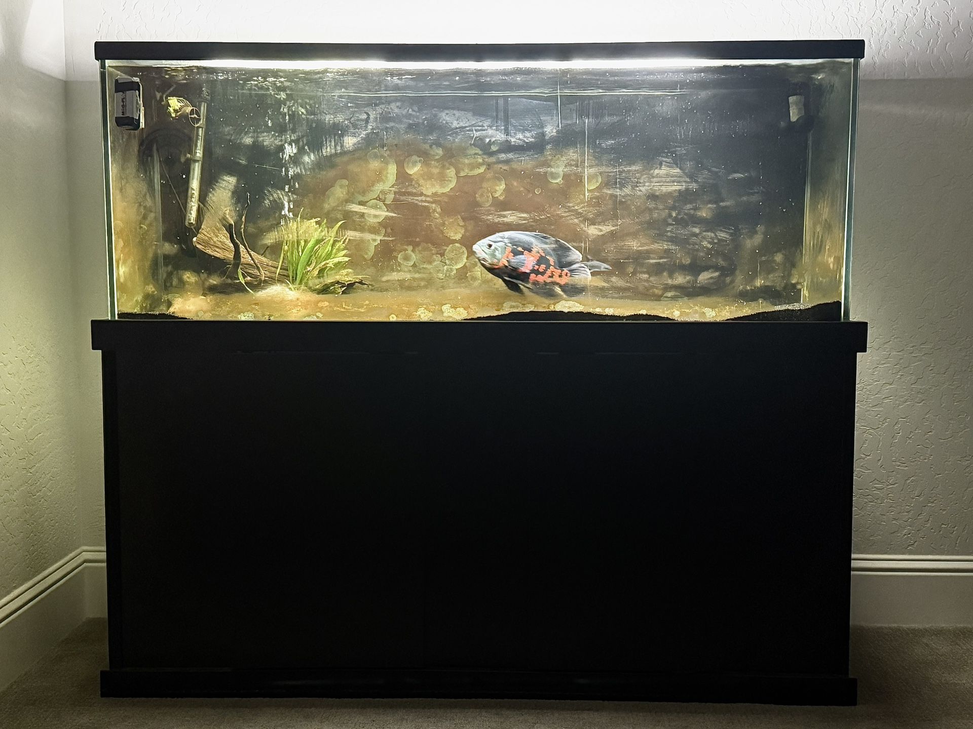 100 Gallon Aquarium w/ Stand 