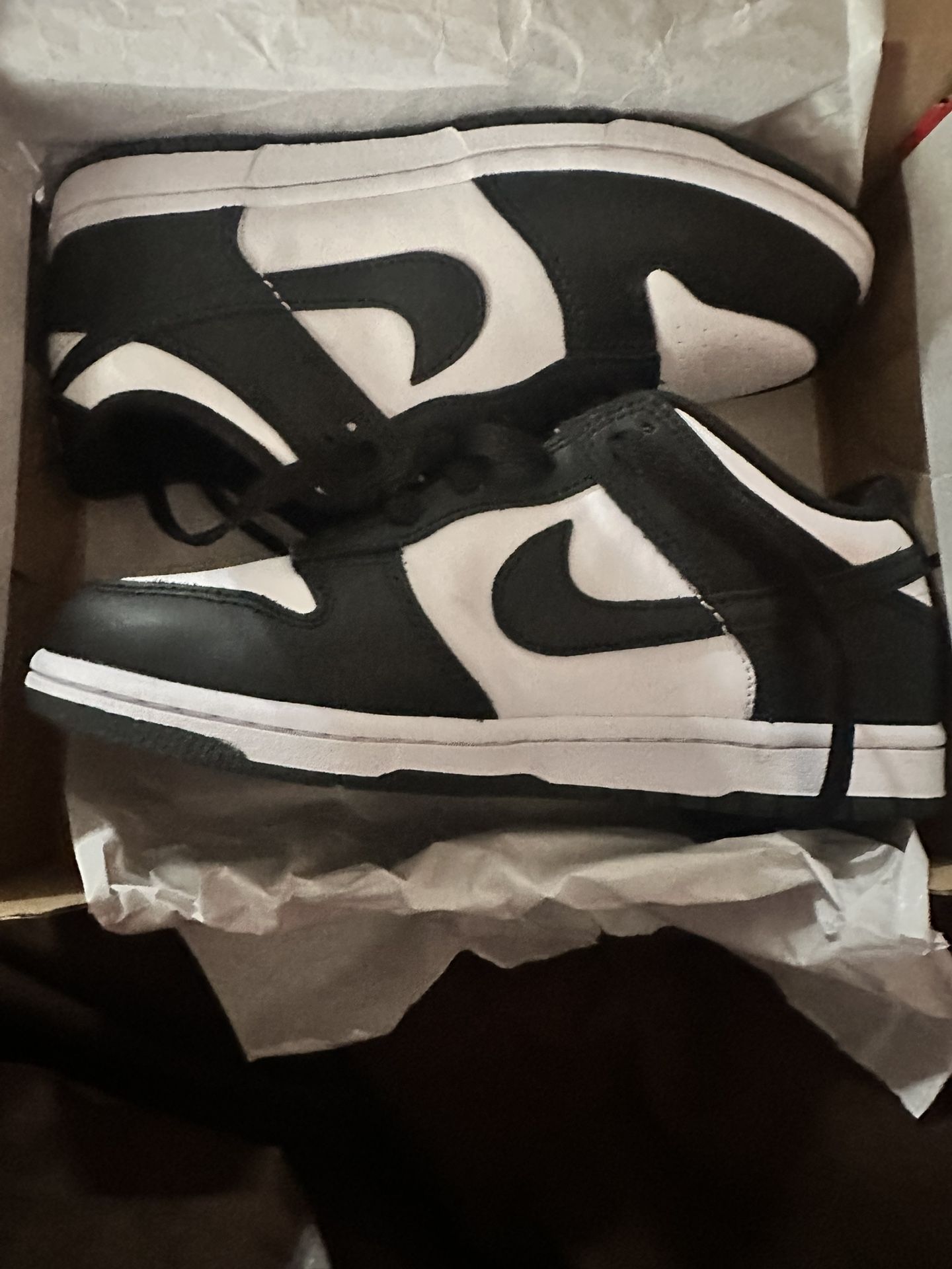 Panda Nike Dunks