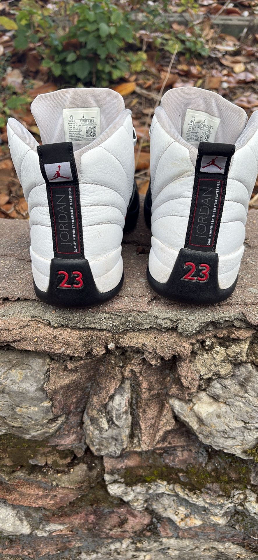 Jordan 12