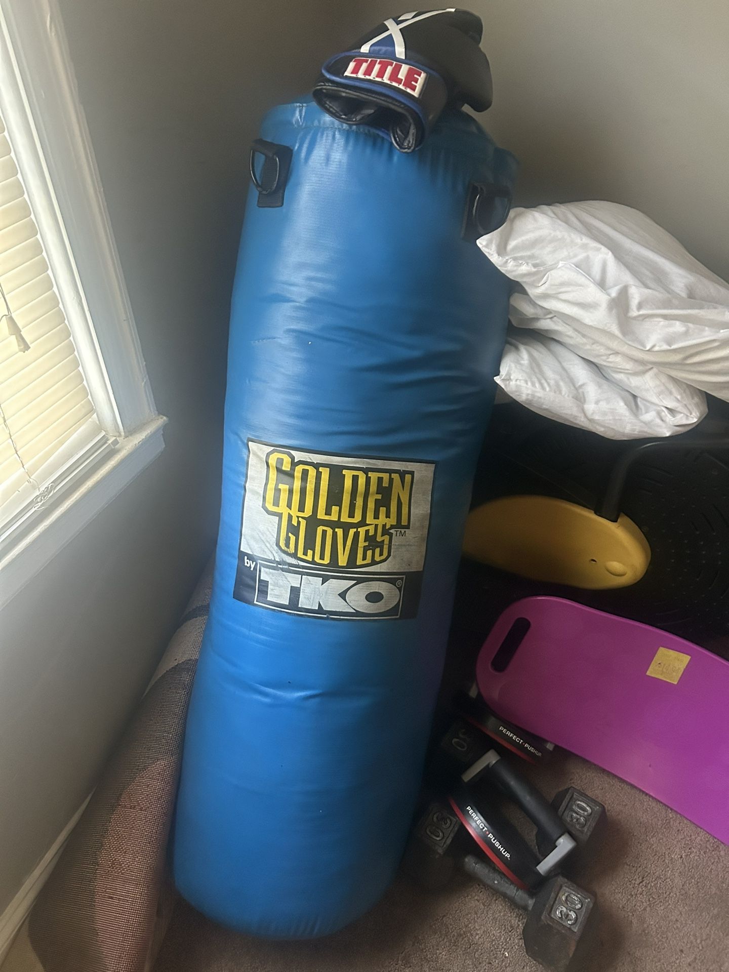 Golden Gloves Punching Bag