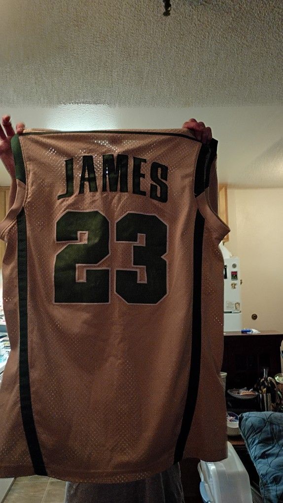 Lebron James 2003 Irish Jersey  For Sale 500$ It's In Perfect Condition 