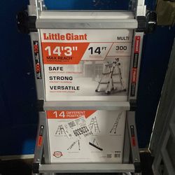 Little Giant 14’ ladder