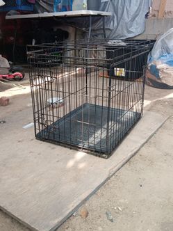 Collapsable Dog Crate