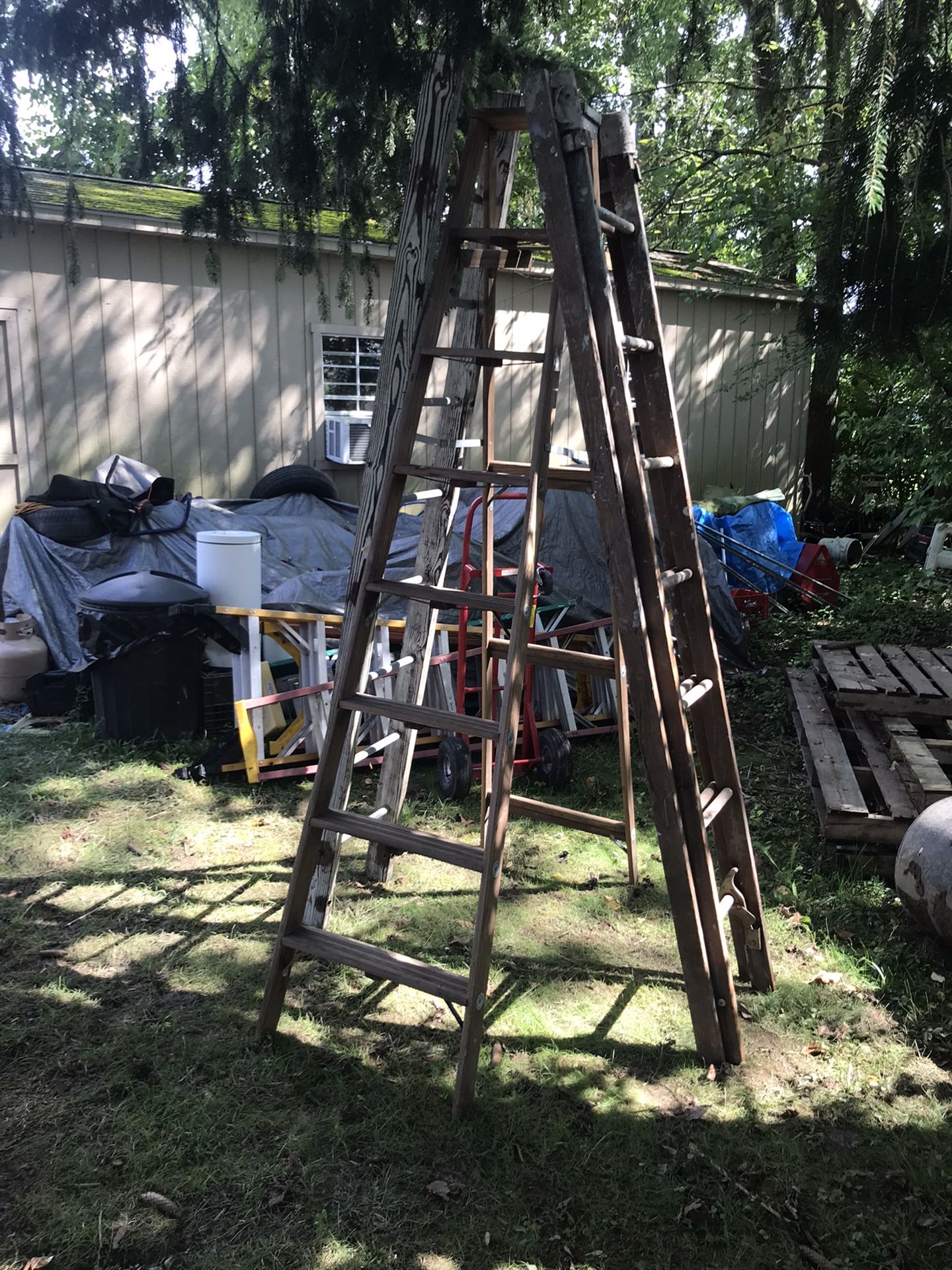 Wood Ladders