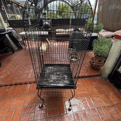 Bird Cage
