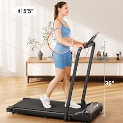 Treadmill / Caminadora 