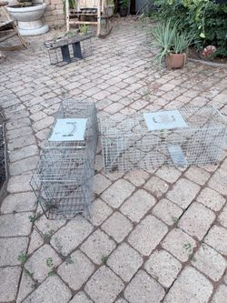 2 galvanized steel live animal cage traps