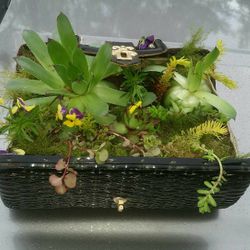 Succulent Purse