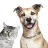 Pet Supplies And More