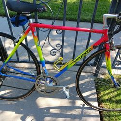 Greg Lemond Road Bike

