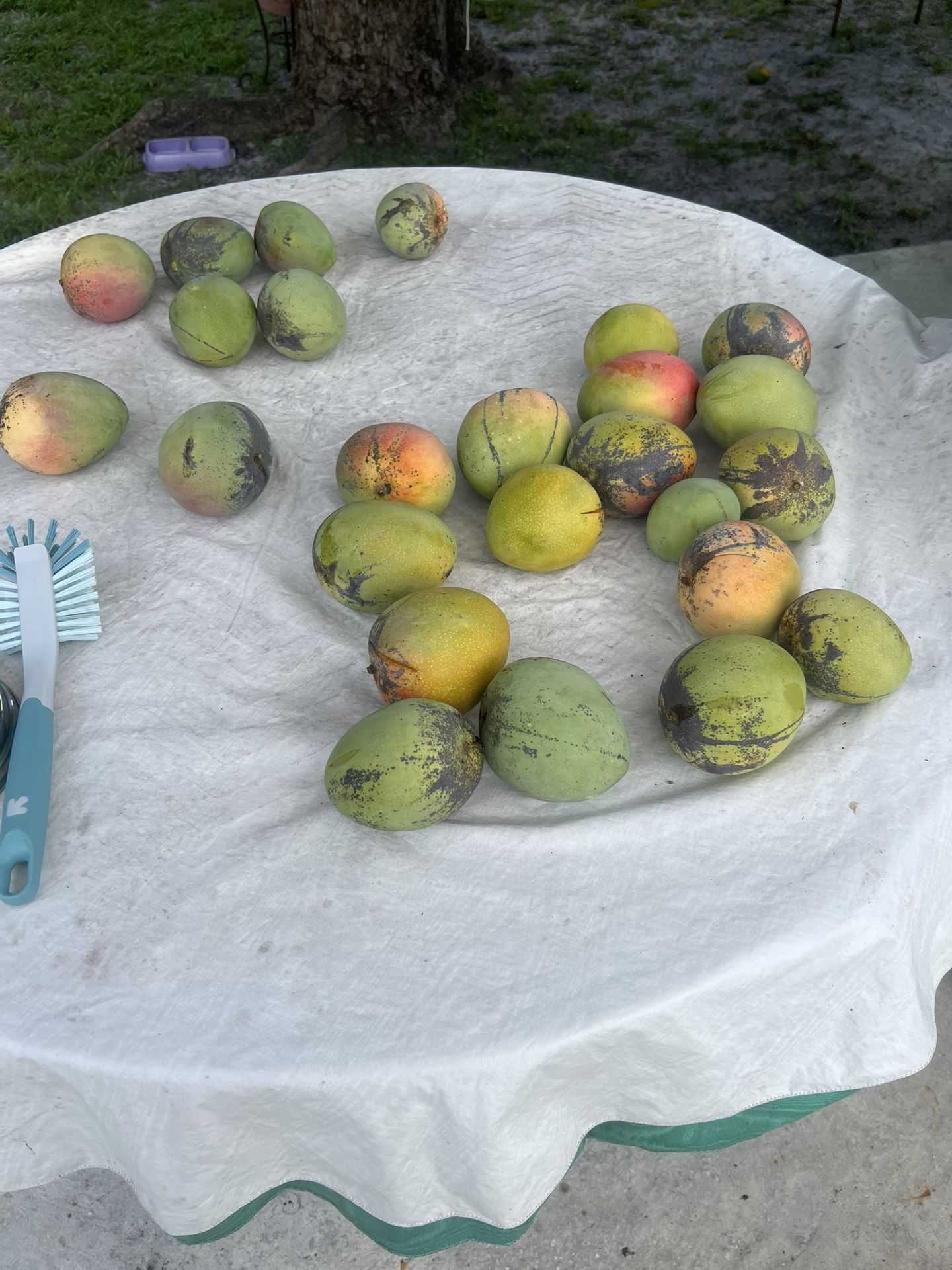 Mangoes Seewt Good Quality. 0.70 Es
