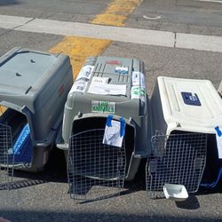 Dog Homes